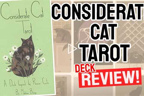 Considerate Cat Tarot  Review (All 78 Considerate Cat Tarot  Cards REVEALED!)
