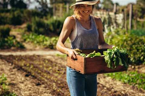 How to Make Hay Bale Gardening a Success