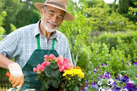 How to Plant Flowers in Garden