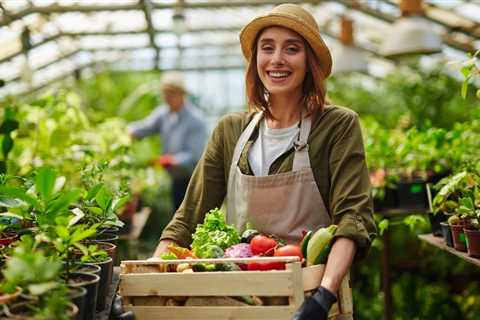 Growing Vegetables in Bags of Soil