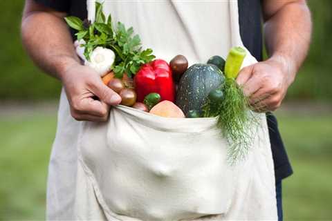 Basic Vegetable Gardening Tips For Beginners