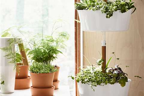 How to Decorate Walls With Planters From IKEA