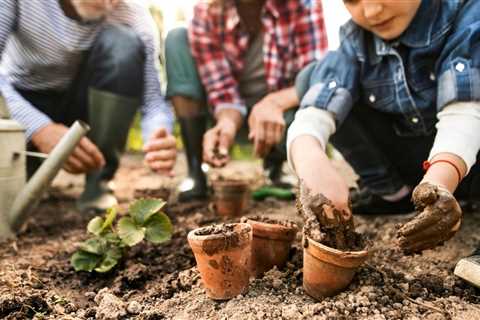 What Not to Plant Near a Black Walnut Tree