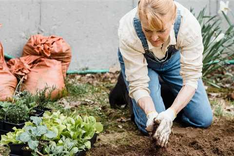 How to Do Container Gardening