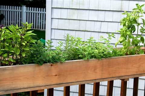 Potted Herb Garden Container Ideas