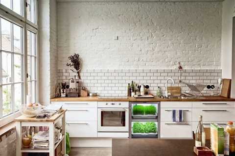 Growing Herbs in the Kitchen in Pots