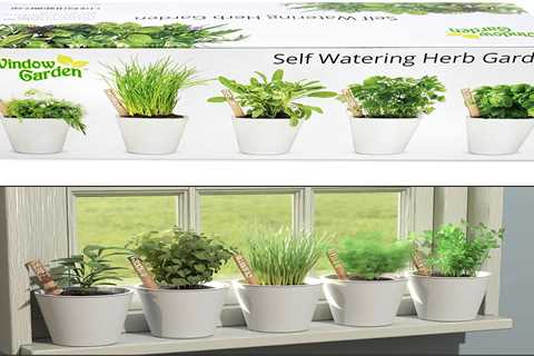Grow Herbs Indoors With Herb Growing Kits For the Kitchen