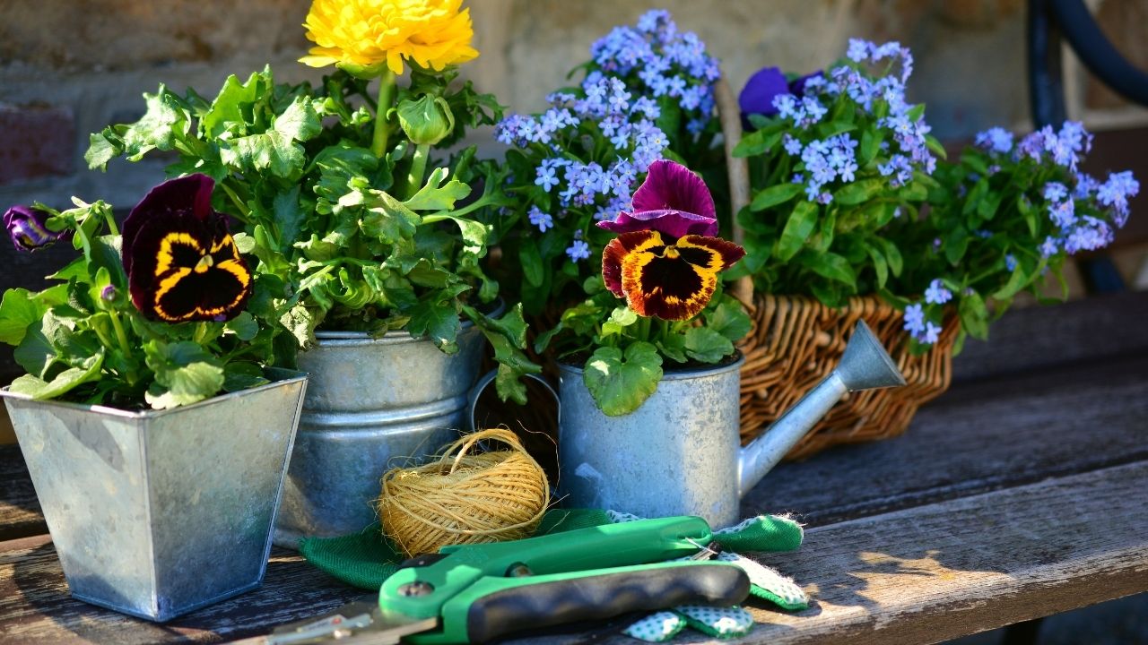 Tips For June Gardening