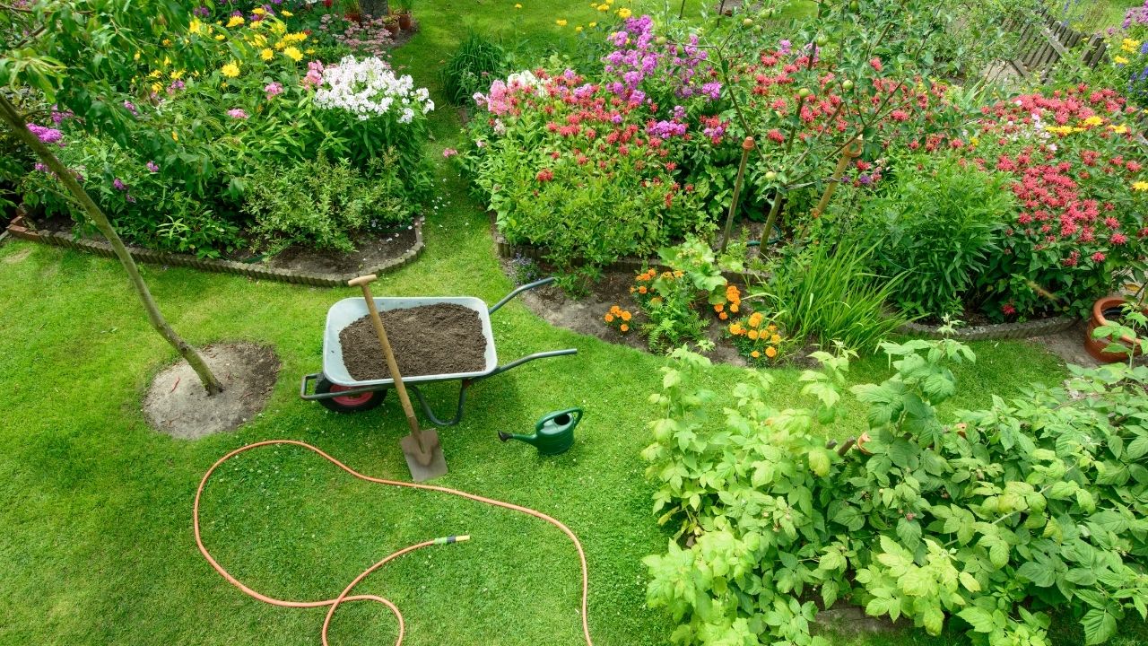 Herb Garden Care - How to Take Care of Herb Plants