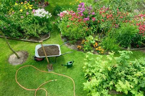 Herb Garden Care - How to Take Care of Herb Plants