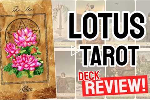 Lotus Tarot Review (All 78 Lotus Tarot Cards REVEALED!)