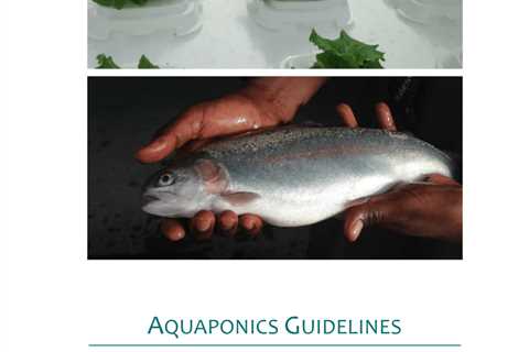 Is Aquaponics Safe For Fish?