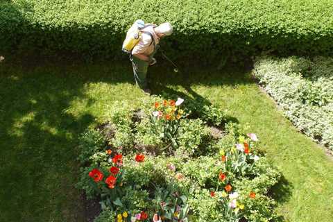 How to Grow Root Vegetables in Spring