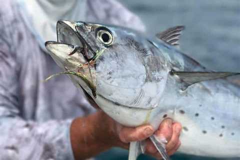 Fun day fishing on fly with customers!! You never know what you’ll find on bait rocks