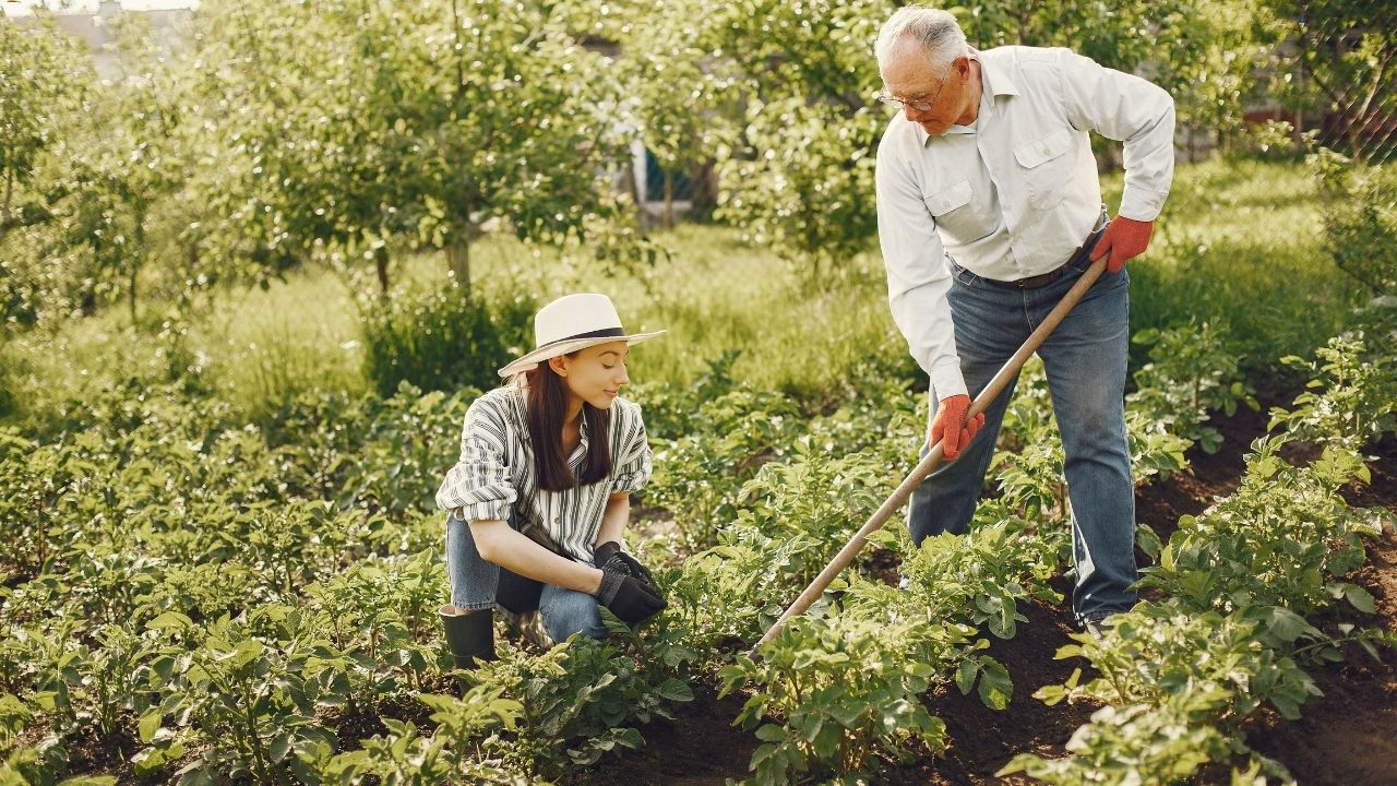 How to Start a Vegetable Garden For Beginners