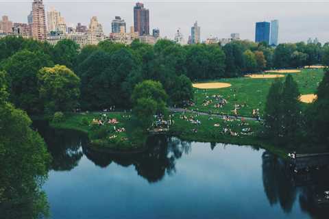 Why are urban forests important?