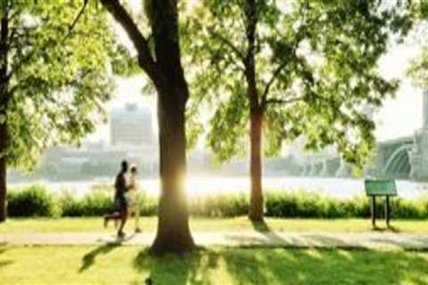 What makes a healthy urban forest?