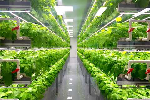 Is Hydroponic Gardening Cost Effective?