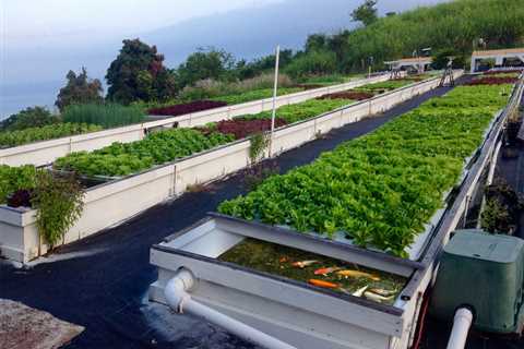 Is Aquaponics Worth the Money and Complexity? Costs, Complexity, Profitability, and Infrastructure