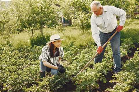 How to Start a Vegetable Garden For Beginners