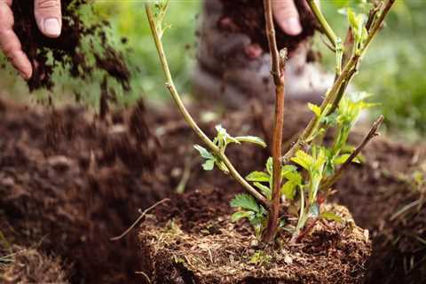 Blossom Indoor Gardening Hacks - 20 Gardening Hacks to Increase Your Harvest