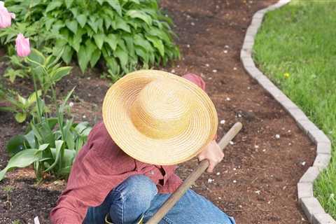 Gardening Jobs For March - What Plants to Plant in the Garden in March