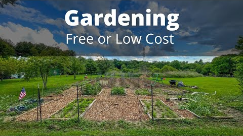 Best FREE garden hacks, tips, and tricks for gardening on a budget.