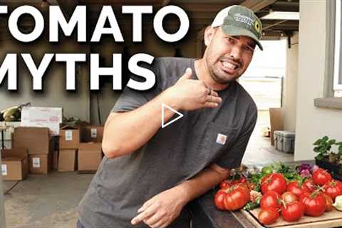 9 Tomato Growing Myths to Avoid!