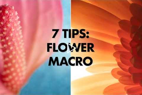 7 Tips for Flower Macro Photography