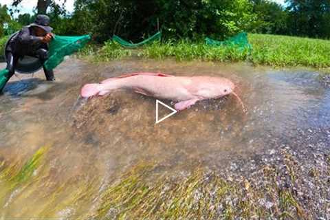 amazing fishing! a lots of strange Redfish on the road when flood water catch by fishing tools