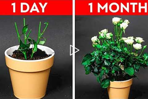 32 Easy Gardening Hacks For Beginners || Plants Growing Tips by 5-Minute DECOR!