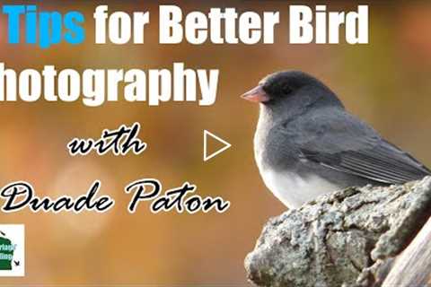 5 Tips for Better Bird Photography (with Duade Paton)