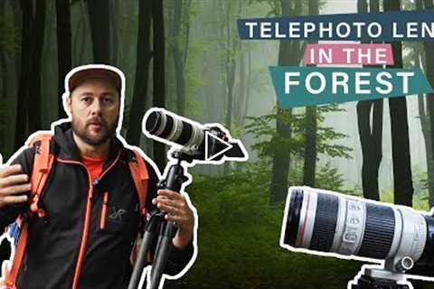 Photographing the Forest With Long Lens - Forest Photography Tips and Settings