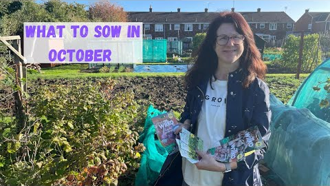 What Can I Sow In October - Allotment Gardening For Beginners UK