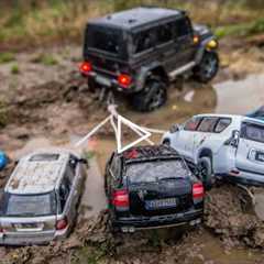 RC Cars vs Model Cars