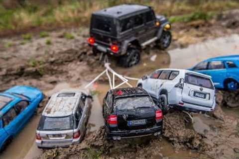 RC Cars vs Model Cars