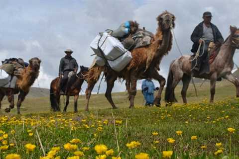 Mongolia Horse Trekking Tour | Altai Mounatains, Summer 2022