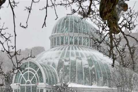 Are botanical gardens open in winter?