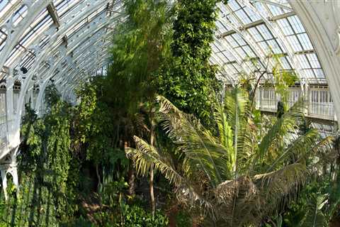What is an indoor botanical garden called?