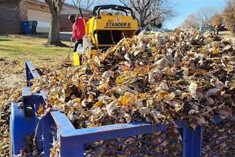 Fall Cleanup| Leaf Removal| Gutter Cleaning| Lawn Care