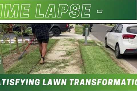 Satisfying lawn mowing maintenance time lapse