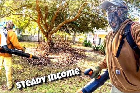 Leaf Clean up How I Keep my income steady rolling in during the slow season