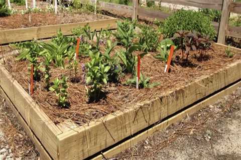 What are the steps in preparing garden plots?