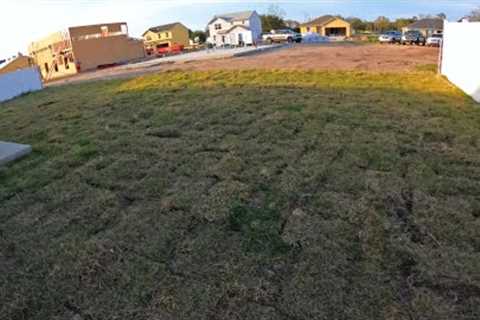 Builder''s Shocking Sod Install: Is THIS What We''re Supposed to Expect?