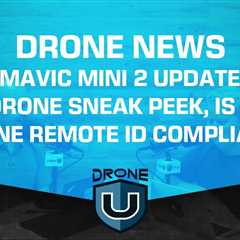 Drone News – DJI Mavic Mini 2 Updates, DJI FPV Drone Sneak Peek, Is Your Drone Remote ID Compliant?