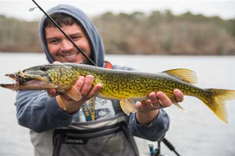 The Best Lures for Chain Pickerel