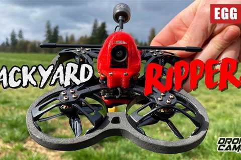 BACKYARD RIPPER! – AuroraRC EGG V2 2″ Cinewhoop – FULL REVIEW & FLIGHTS