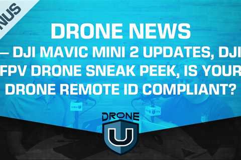 Drone News – DJI Mavic Mini 2 Updates, DJI FPV Drone Sneak Peek, Is Your Drone Remote ID Compliant?