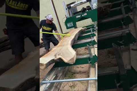 Cutting some cool forked slabs #woodwork #woodworking #sawmill #maker #shorts #wood #work