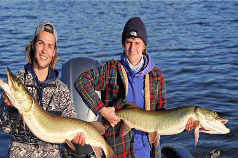 The Best Time of Year for Bass Fishing in Northern VA: A Guide for Anglers